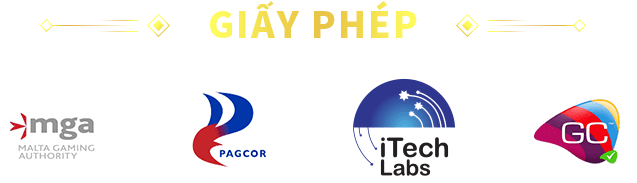 Giấy phép hoạt động của 789P